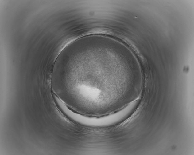 X0000096191369200802011357