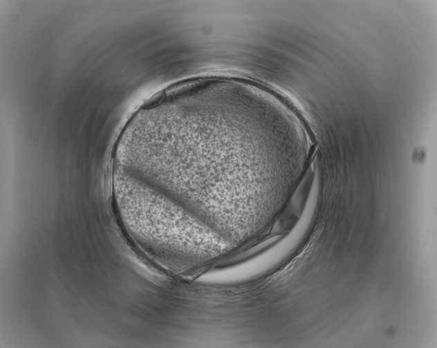 X0000096191371200802011357