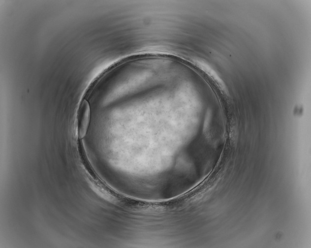 X0000096191372200802011357