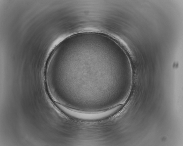 X0000096191373200802011357