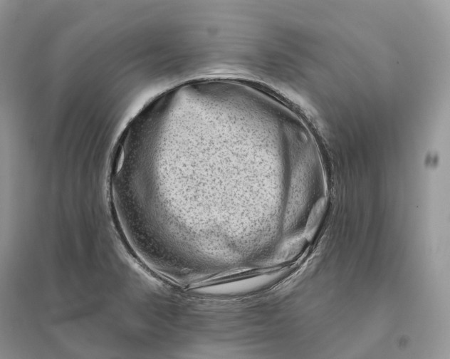 X0000096191374200802011357