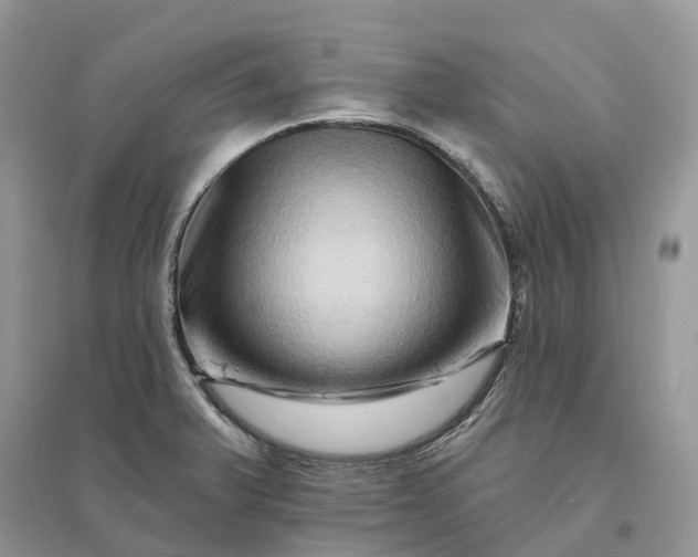 X0000096191375200802011357