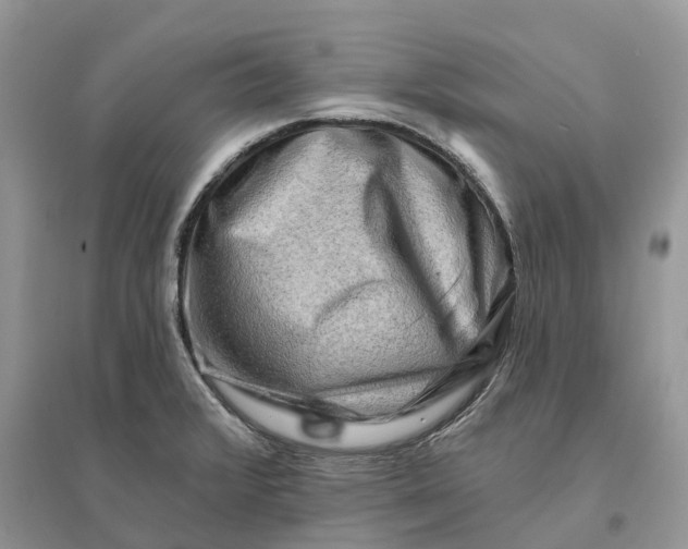 X0000096191376200802011357