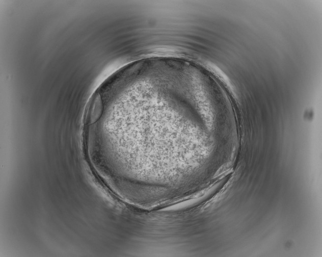 X0000096191378200802011357