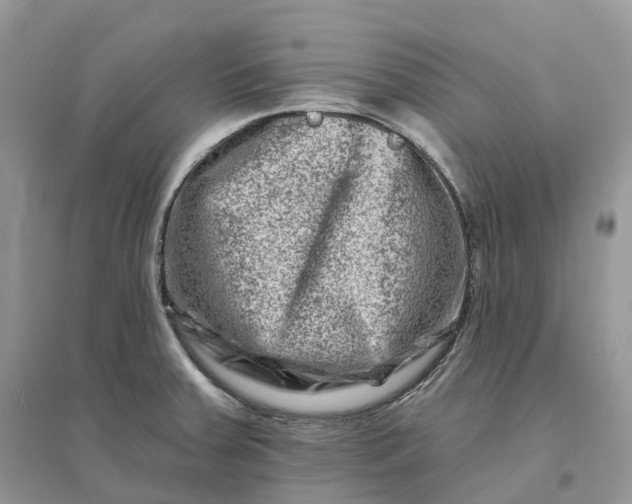 X0000096191379200802011357