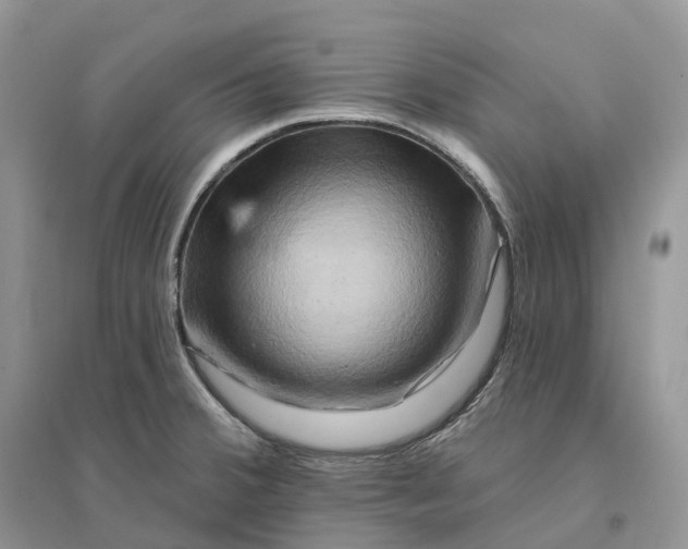 X0000096191380200802011356