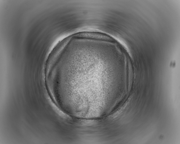 X0000096191382200802011356