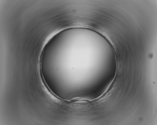 X0000096191387200802011356