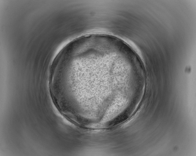 X0000096191390200802011356