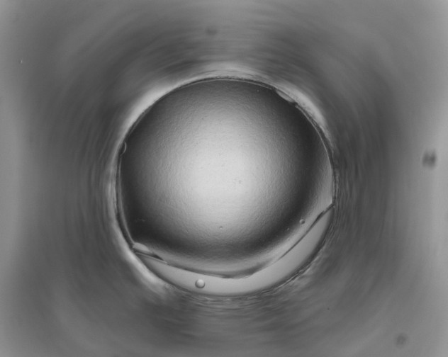 X0000096191391200802011356