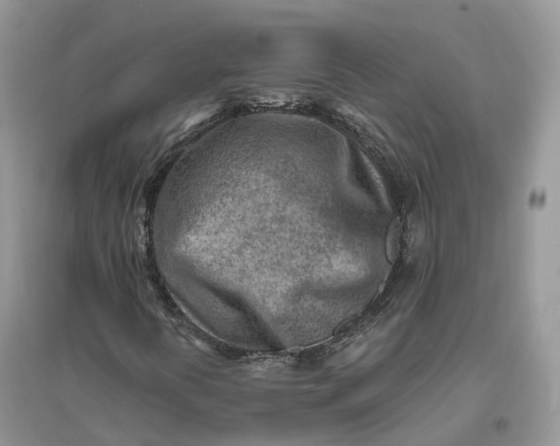 X0000096191394200802011355