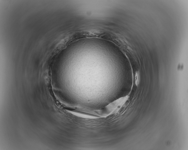 X0000096191395200802011355