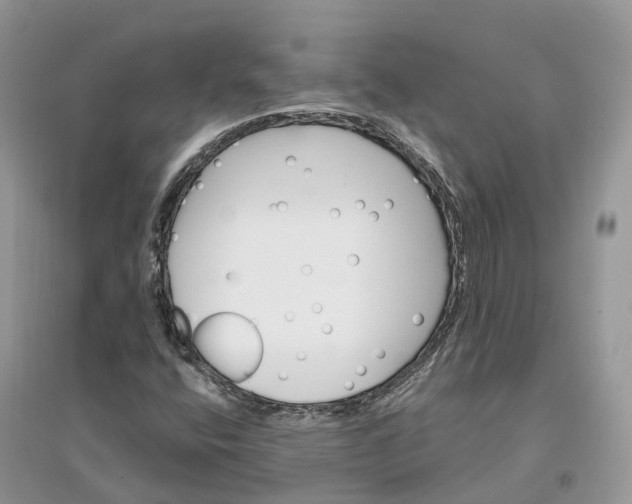 X0000096191400200802011356