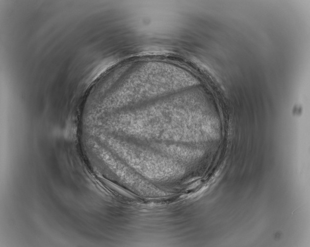 X0000096191401200802011356