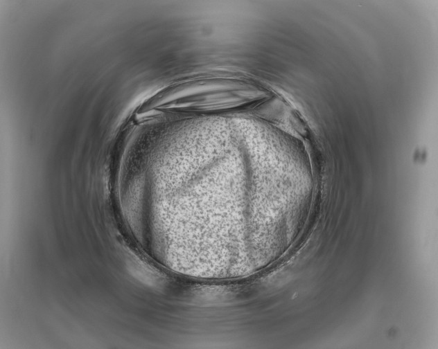 X0000096191402200802011356