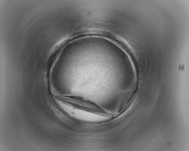 X0000096191403200802011356