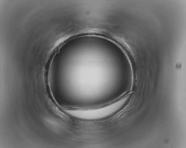 X0000096191404200802011356