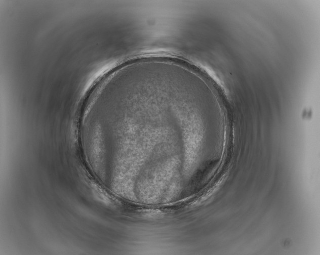X0000096191405200802011356
