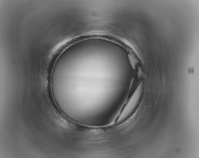 X0000096191406200802011356