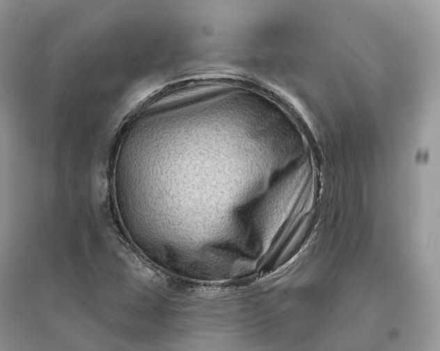 X0000096191407200802011356