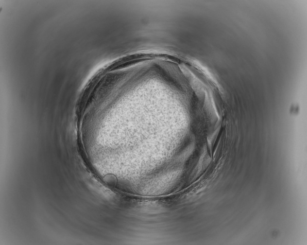 X0000096191408200802011356