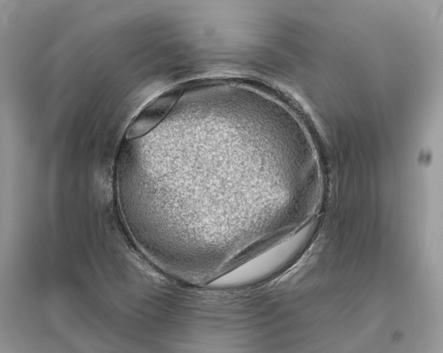 X0000096191409200802011356