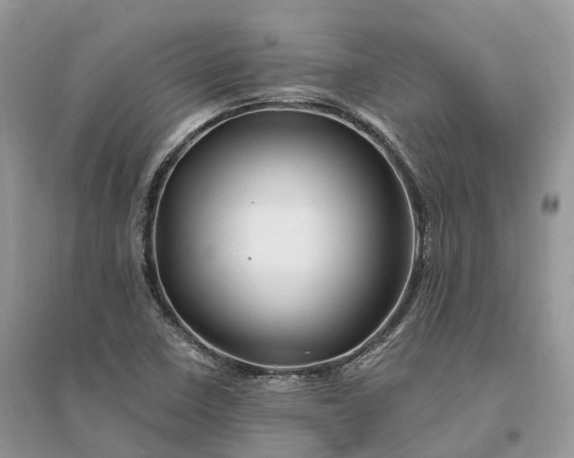 X0000096191410200802011356