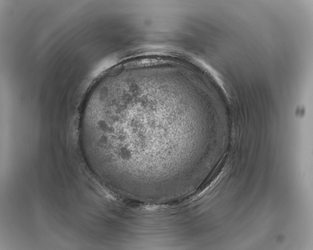 X0000096191411200802011356