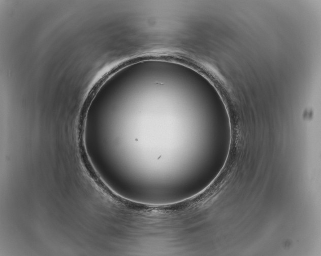 X0000096191412200802011356