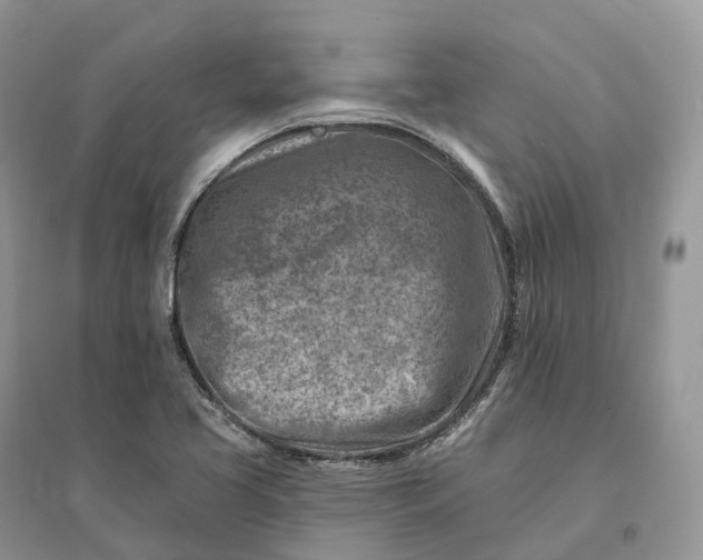 X0000096191413200802011356