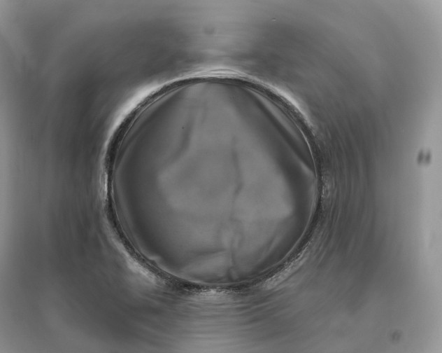 X0000096191414200802011356