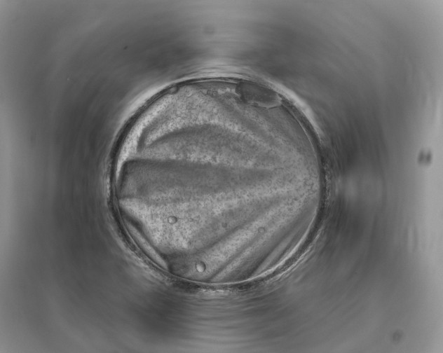 X0000096191415200802011356