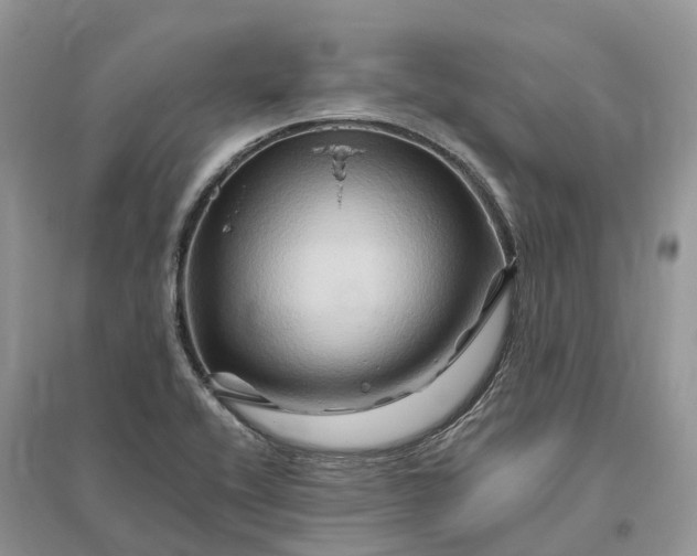 X0000096191416200802011356