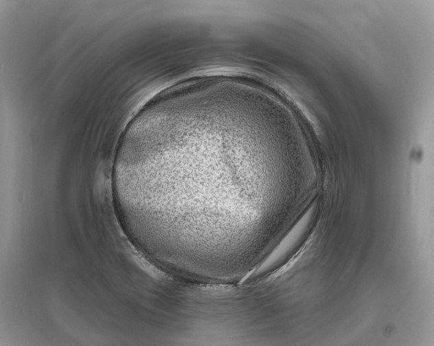 X0000096191417200802011356
