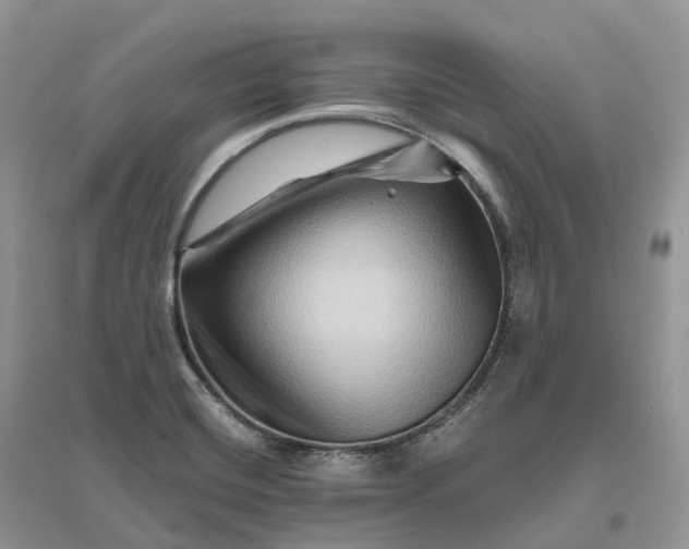 X0000096191420200802011356