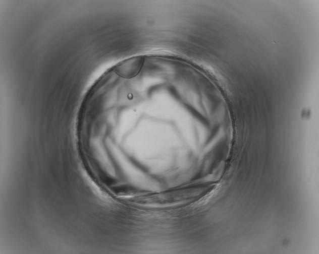X0000096191422200802011356