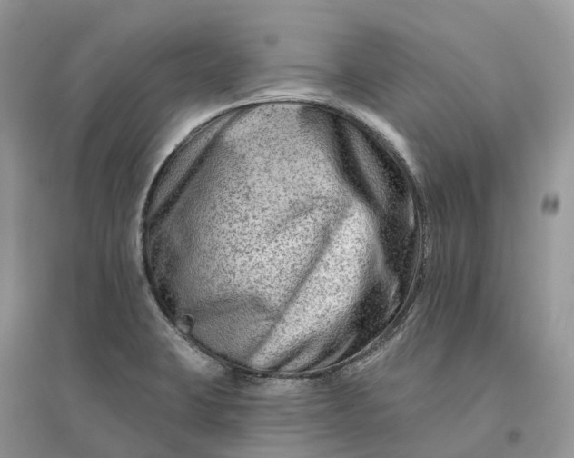 X0000096191423200802011356
