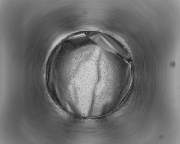 X0000096191424200802011356