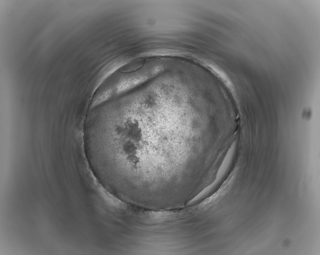 X0000096191425200802011356