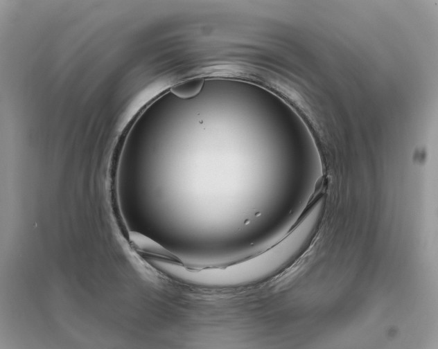 X0000096191426200802011356