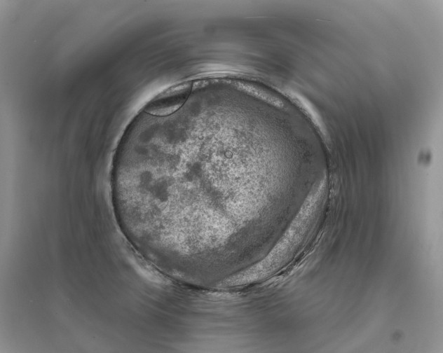 X0000096191427200802011356