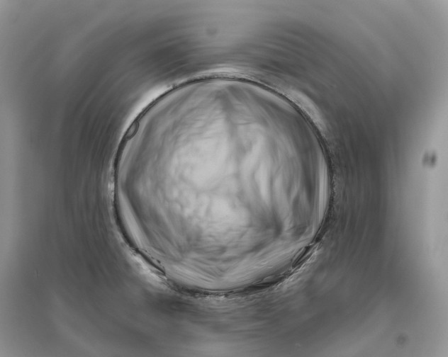X0000096191428200802011356