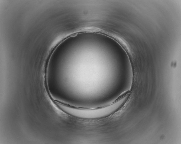 X0000096191430200802011356