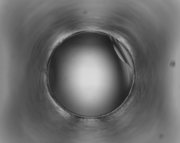 X0000096191432200802011356