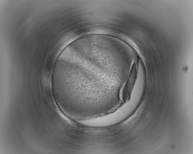 X0000096191433200802011356