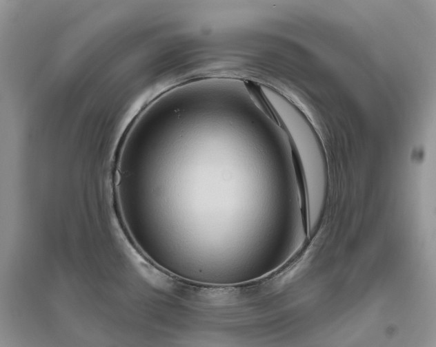 X0000096191434200802011356