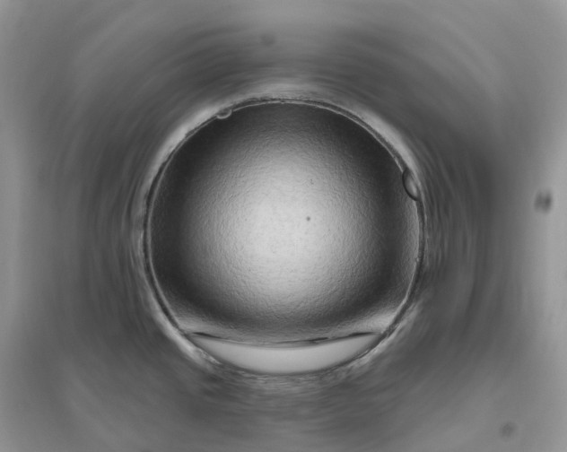 X0000096191437200802011356