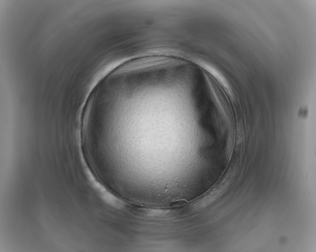 X0000096191439200802011356
