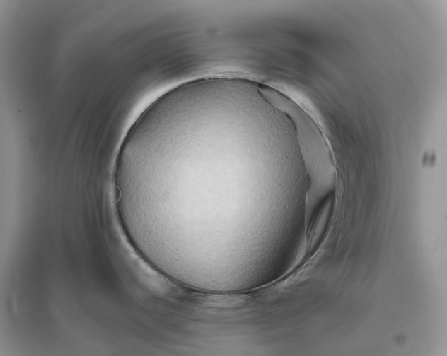 X0000096191440200802011356