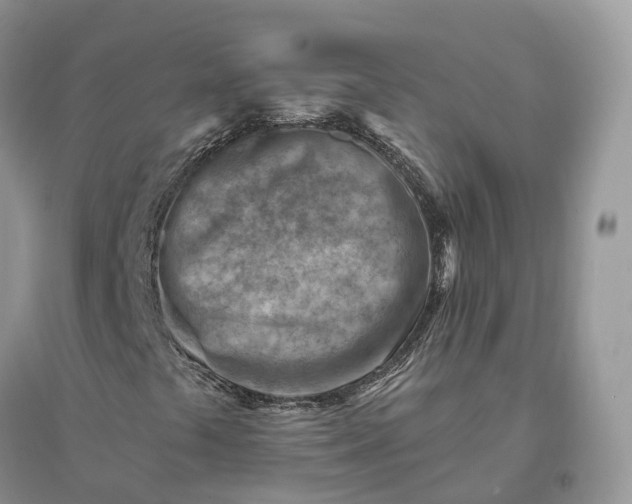 X0000096191441200802011355
